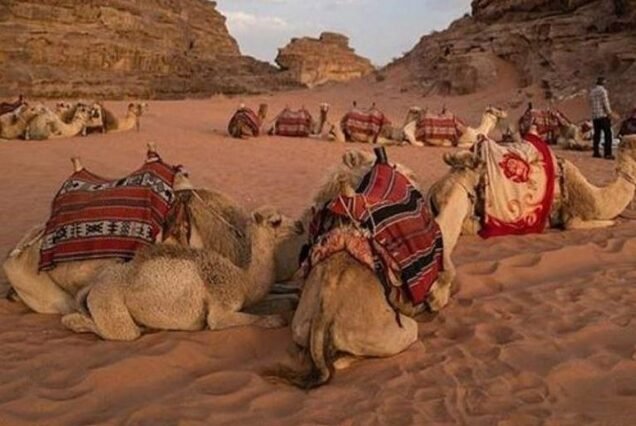 Super Safari: Quads, Bedouin Life & Sunset