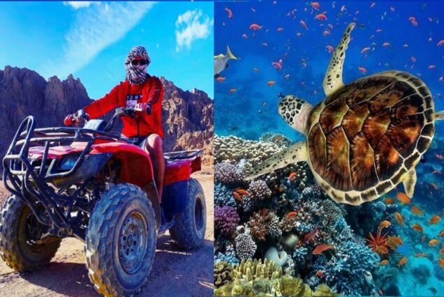 Quad Safari & Turtle Snorkel Adventure