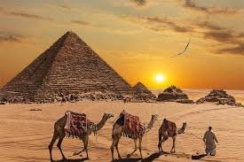 Cairo Bus Tour: Pyramids, Sphinx & Museum Adventure